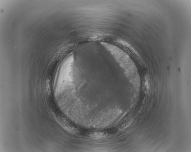 X0000078280598200611251420