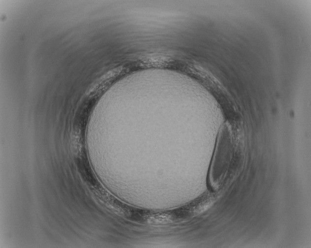 X0000078280599200611251420