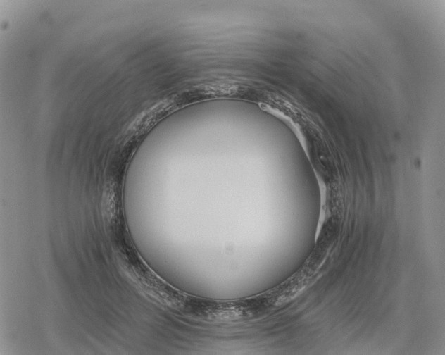 X0000078280600200611251420