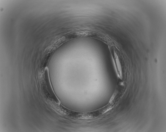 X0000078280601200611251420