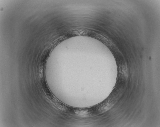 X0000078280602200611251420