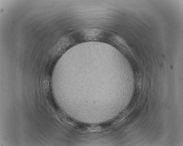 X0000078280603200611251420