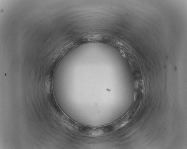 X0000078280604200611251420