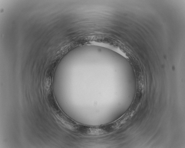 X0000078280605200611251420