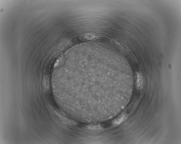 X0000078280606200611251420