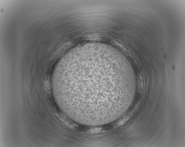 X0000078280609200611251420