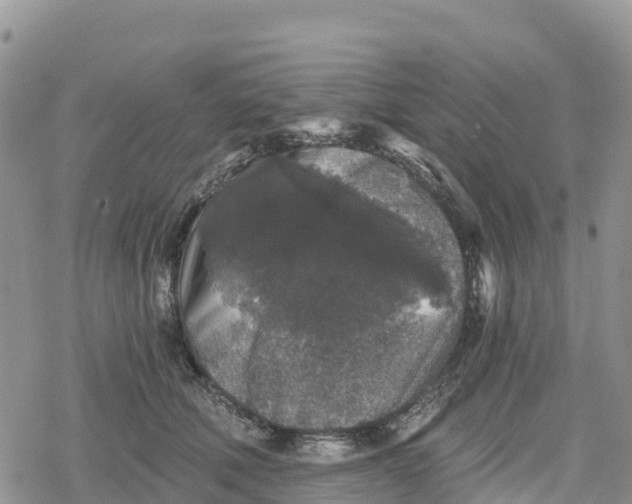 X0000078280610200611251420