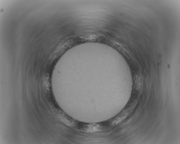 X0000078280612200611251420