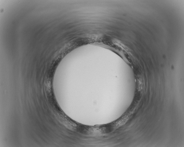 X0000078280613200611251420