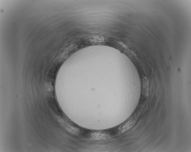 X0000078280614200611251420