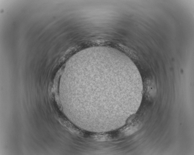 X0000078280615200611251420