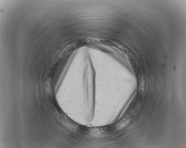 X0000078280616200611251420