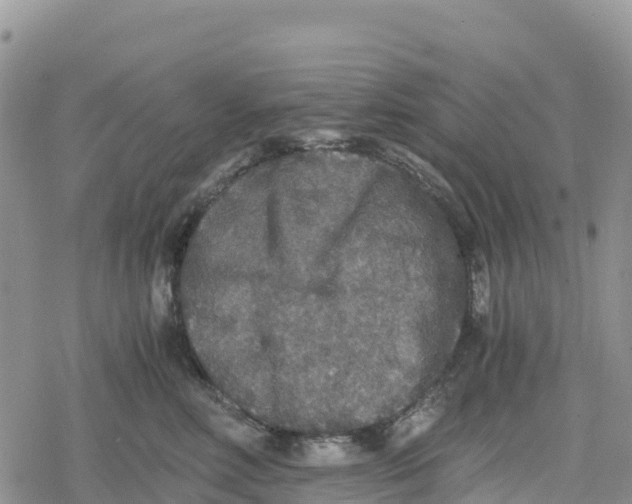 X0000078280618200611251420