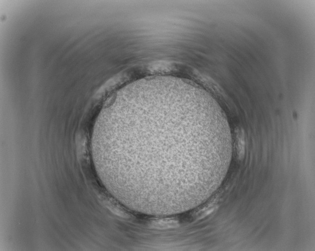 X0000078280619200611251420