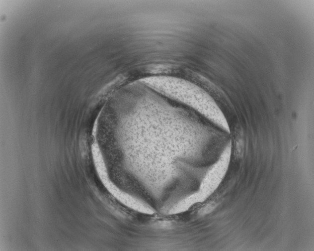 X0000078280620200611251420