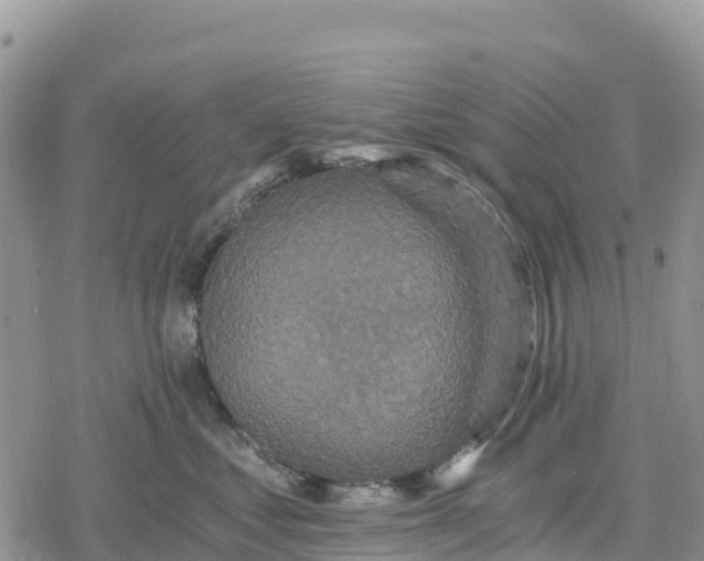 X0000078280621200611251420