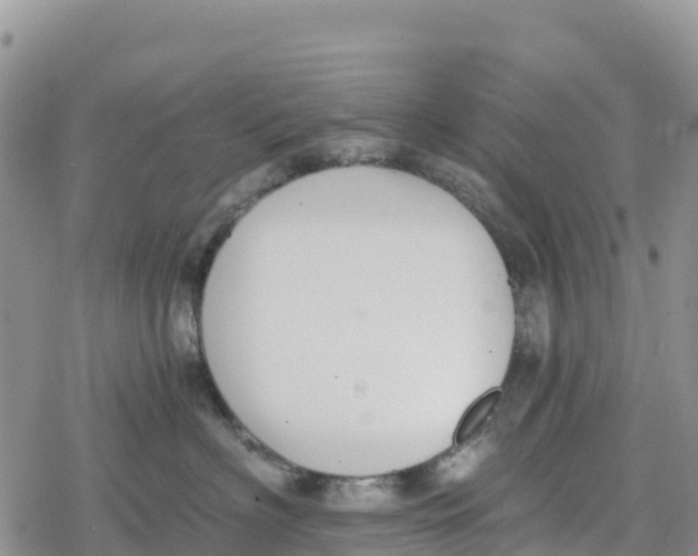 X0000078280622200611251420