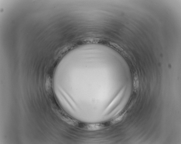 X0000078280623200611251420