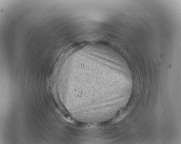 X0000078280624200611251420