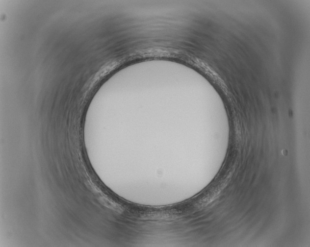 X0000078280625200611251419