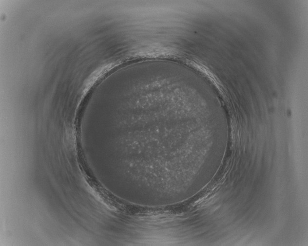 X0000078280626200611251419