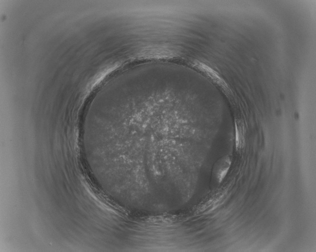 X0000078280627200611251419