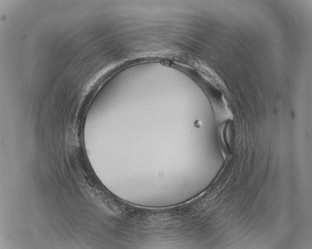 X0000078280628200611251419