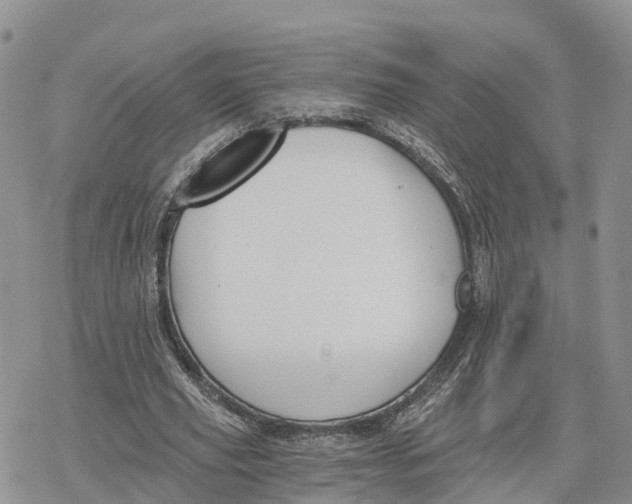 X0000078280629200611251419