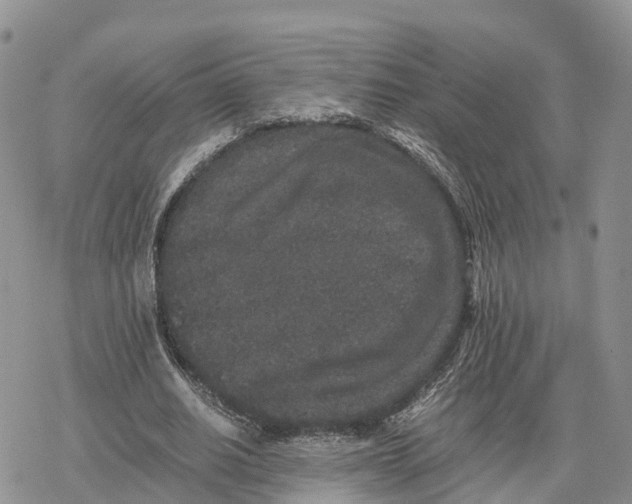 X0000078280630200611251419