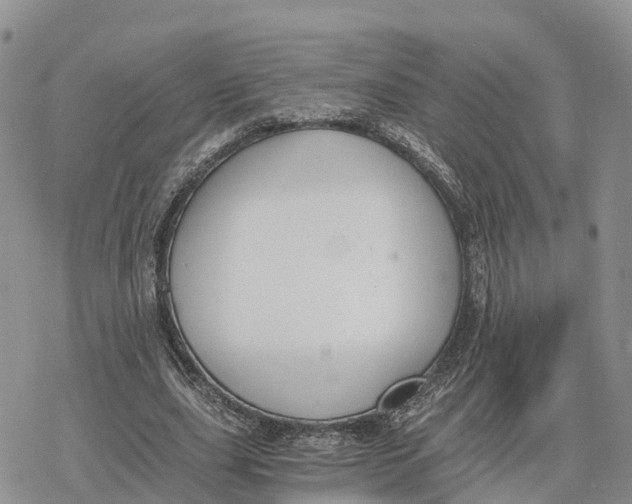 X0000078280631200611251419