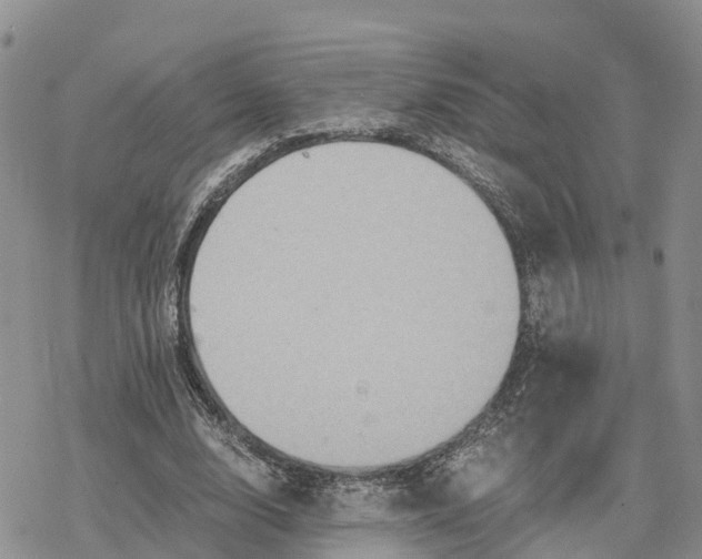 X0000078280632200611251419