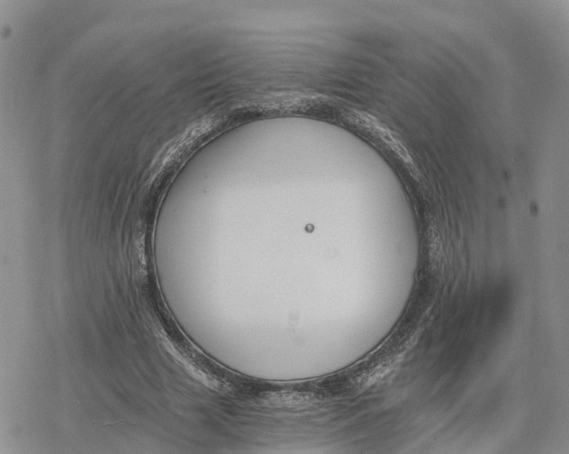 X0000078280633200611251419