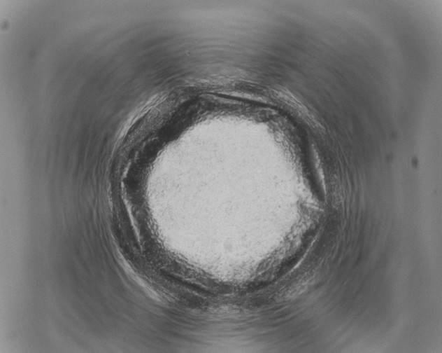 X0000078280634200611251419