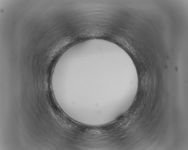 X0000078280635200611251419