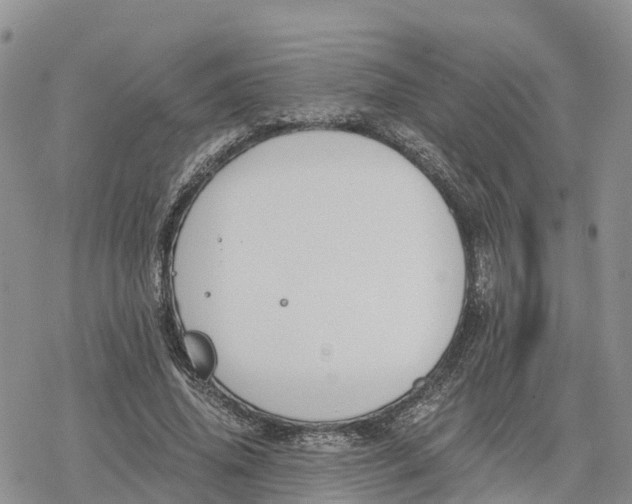 X0000078280636200611251419