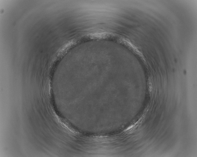 X0000078280637200611251419