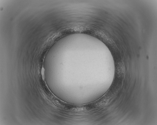 X0000078280639200611251419