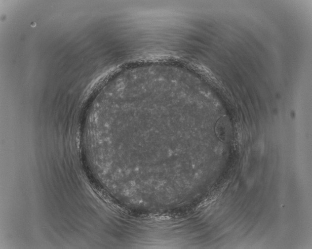 X0000078280640200611251419