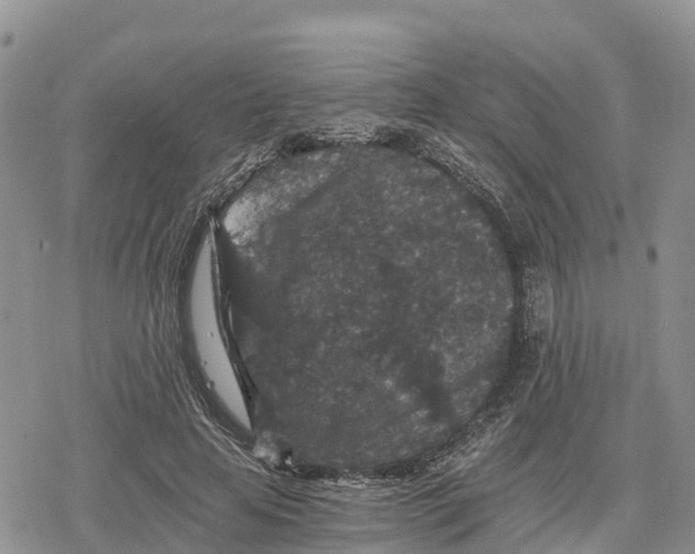 X0000078280641200611251419