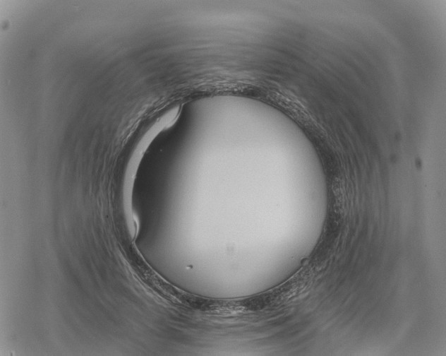 X0000078280642200611251419