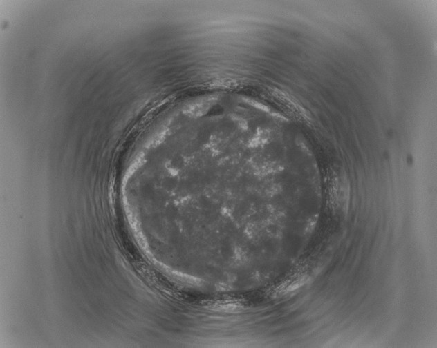 X0000078280643200611251419