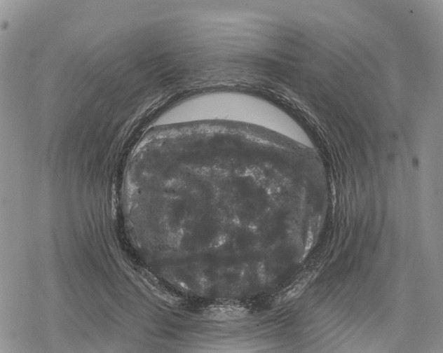 X0000078280644200611251419