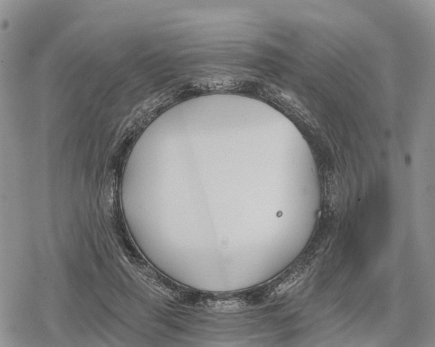 X0000078280645200611251419