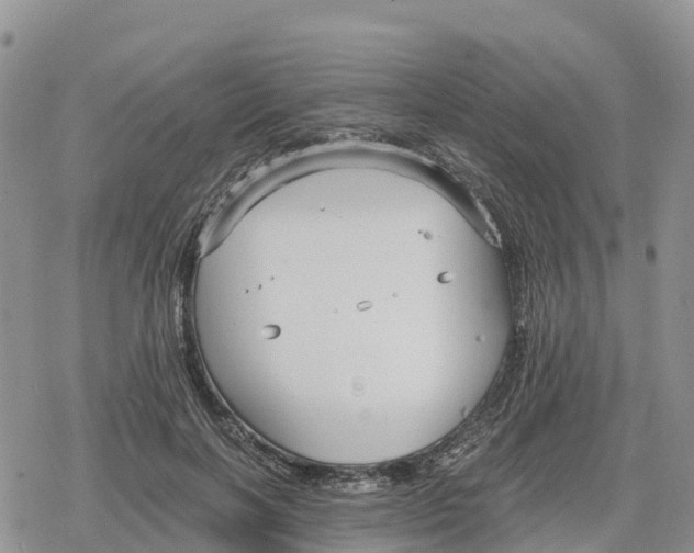 X0000078280646200611251419