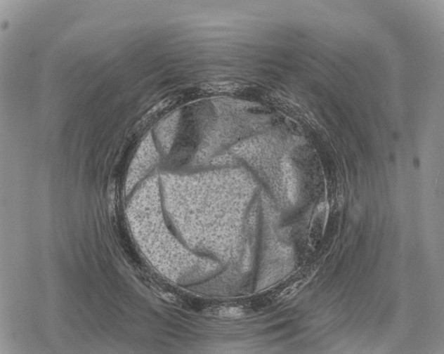 X0000078280647200611251419