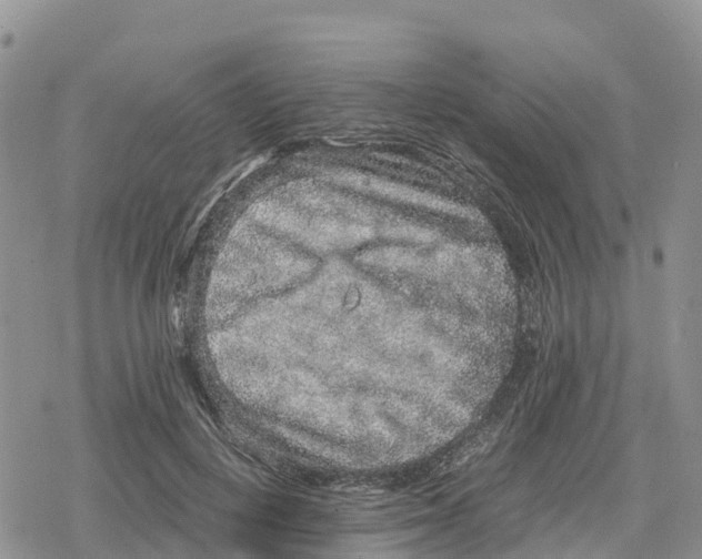 X0000078280648200611251419