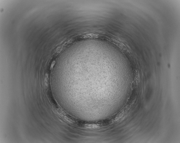 X0000078280649200611251419