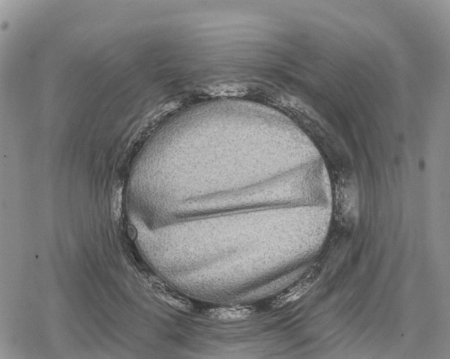 X0000078280652200611251419