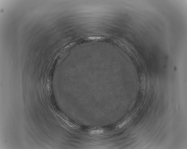 X0000078280653200611251419