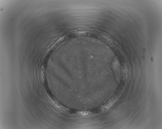 X0000078280654200611251419